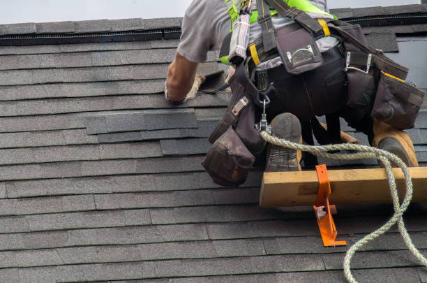 Steel Roofing in Jan Phyl Village, FL