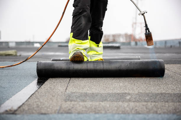 Roof Coating Services in Jan Phyl Village, FL