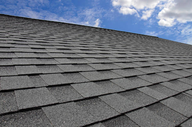 Waterproofing in Jan Phyl Village, FL